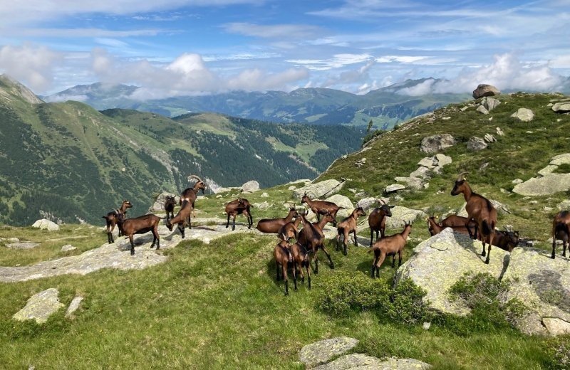 National Park Hohe Tauern