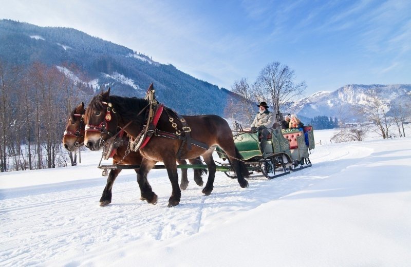 Horse carriage rides